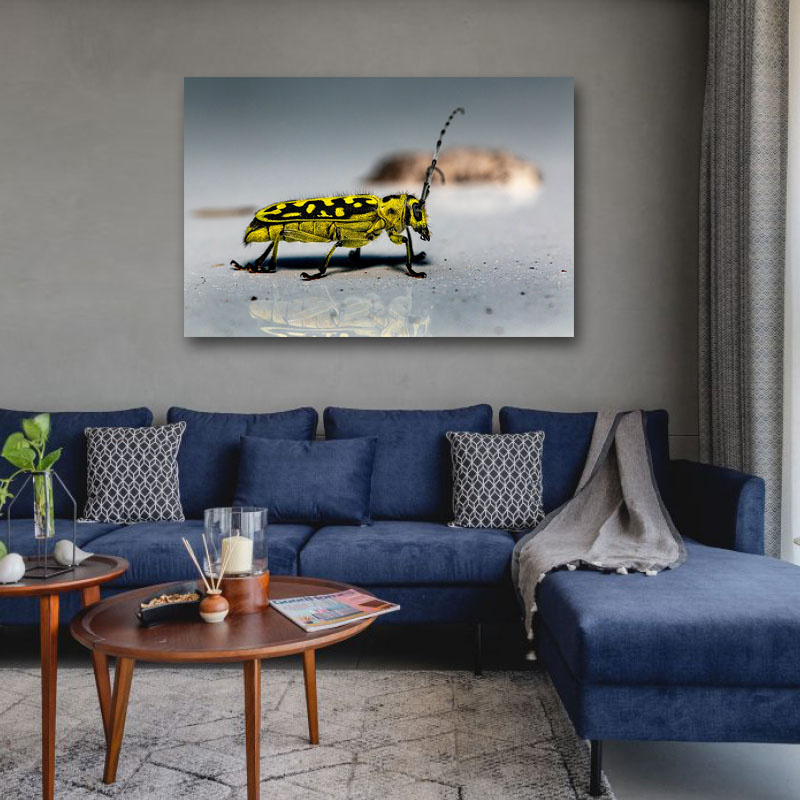 Πίνακας σε καμβά Κίτρινο έντομο